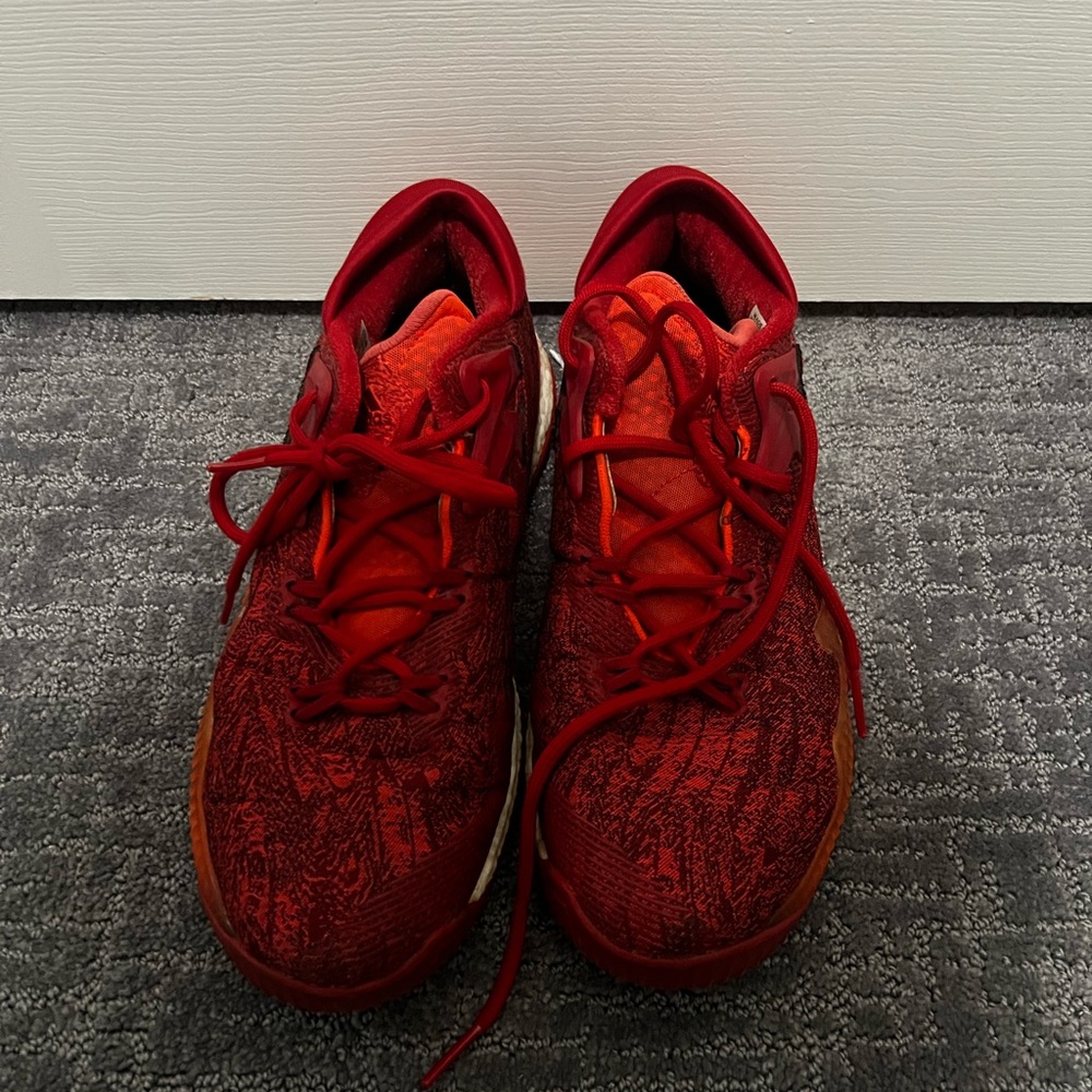Adidas crazy lights